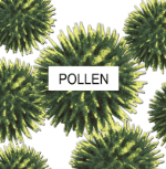 Detroit Furnace offers air filters for your home in Clinton Township MI to fight pollen.